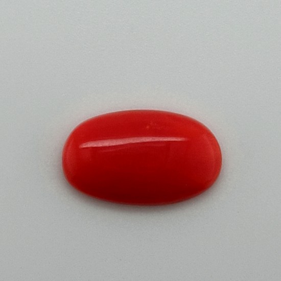 Coral (Moonga) 4.35 Ct Certified Coral (Moonga) 4.35 Ct Certified